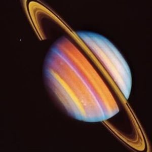 Meet your Posher, Bethlisa